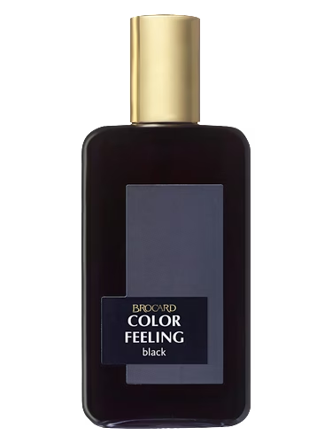 Color Feeling Black