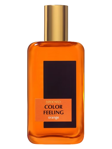 Color Feeling Orange