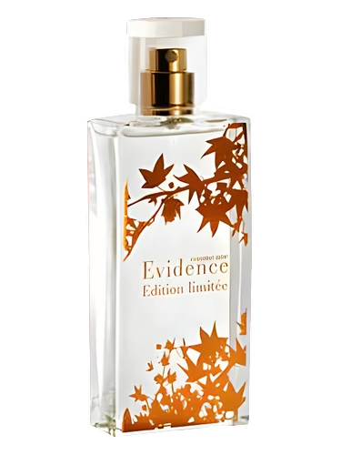 Comme Une Evidence Limited Edition 2008