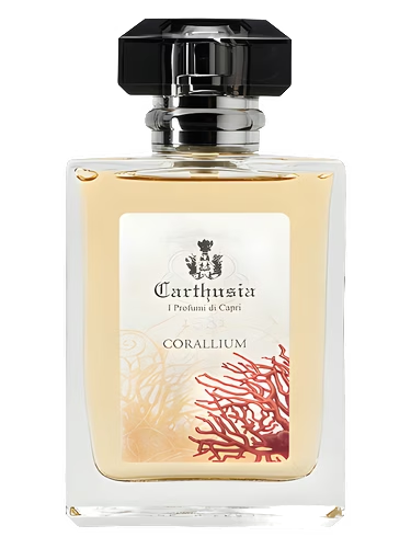 Corallium