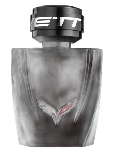 Corvette Night Drive