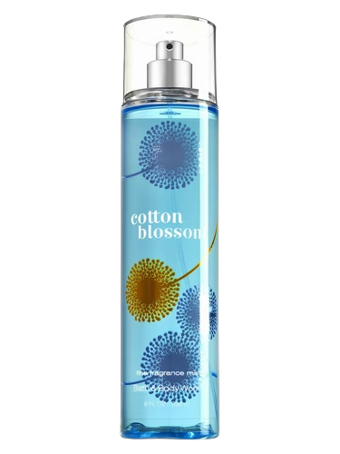 Cotton Blossom