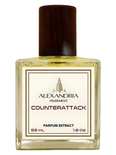 Counterattack