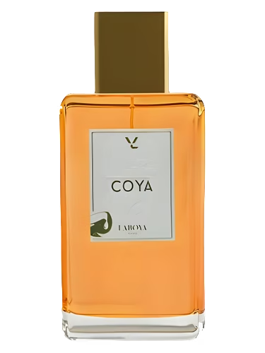 Coya
