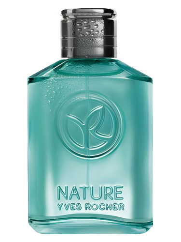 Cyprès et Pamplemousse