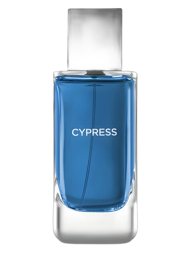 Cypress by Bath & Body Works
