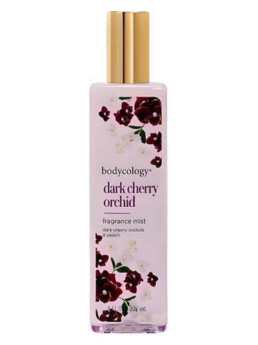 Dark Cherry Orchid