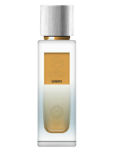 Dawn