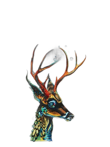 Deer Guide