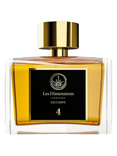 Dimension 4 - Vainqueur