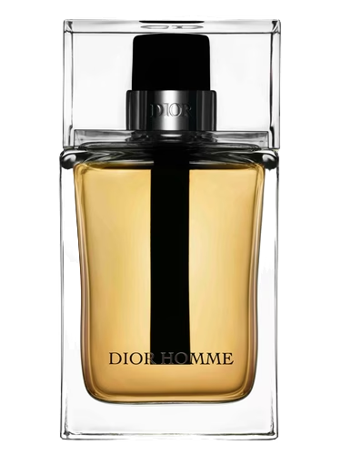 Dior Homme