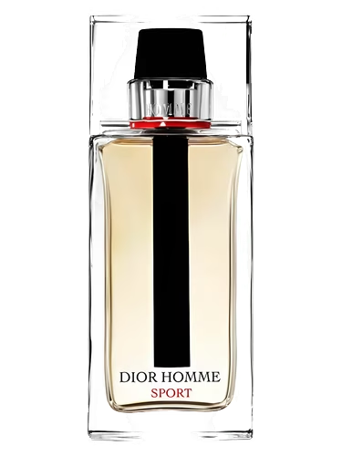Dior Homme Sport 2017