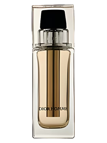 Dior Homme Voyage