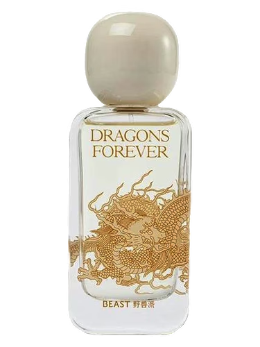 Dragons Forever 龙之舞