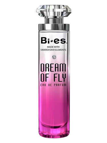 Dream of Fly