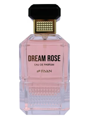 Dream Rose