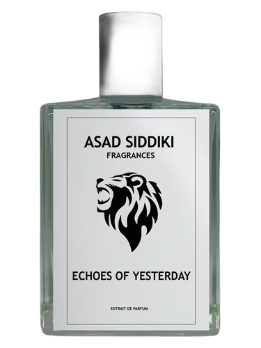 Echoes of Yesterday