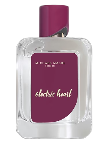Electric Heart