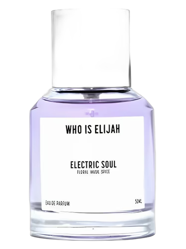 Electric Soul