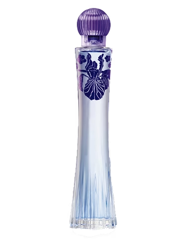 Elegantnost