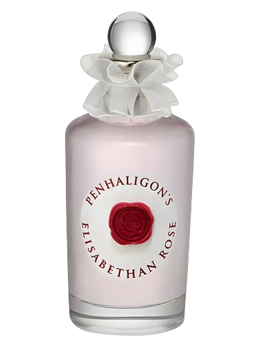 Elisabethan Rose