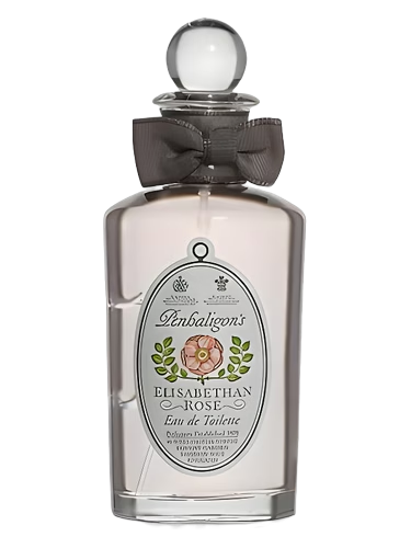 Elisabethan Rose - Vintage