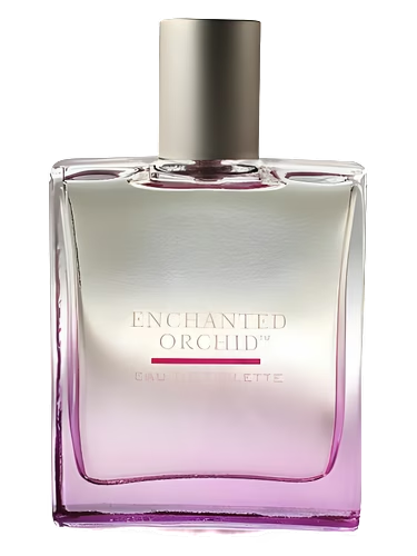 Enchanted Orchid