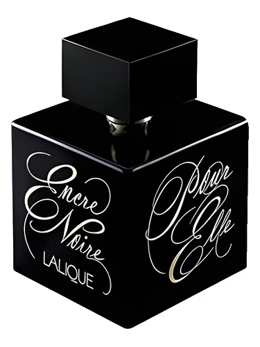 Encre Noire Pour Elle