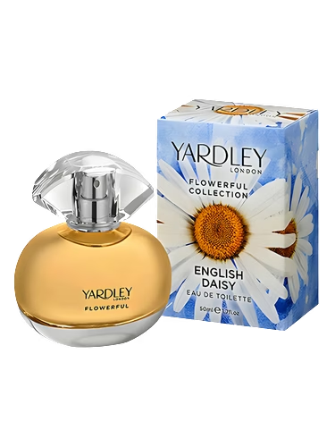 English Daisy