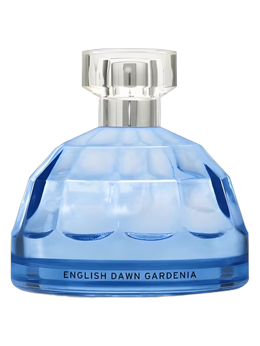 English Dawn White Gardenia