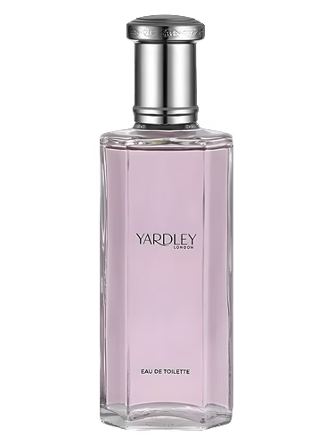 English Rose Contemporary Edition