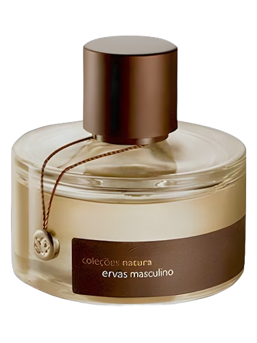 Ervas Masculino