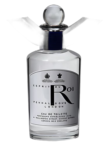 Esprit du Roi