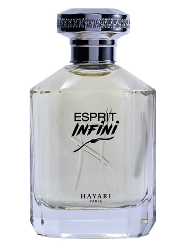 Esprit Infini