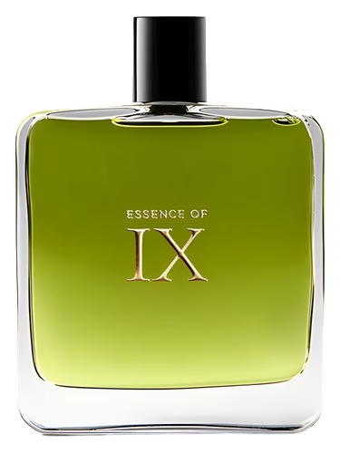 Essence of IX