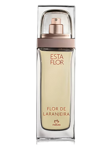 Esta Flor Flor de Laranjeira