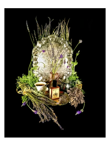 Estate Lavender