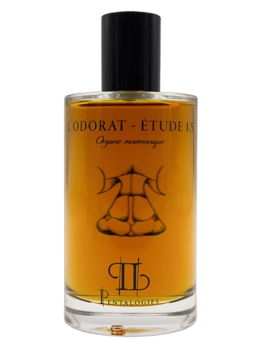 Etude 1.5: L’Odorat