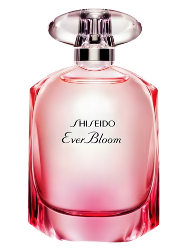 Ever Bloom