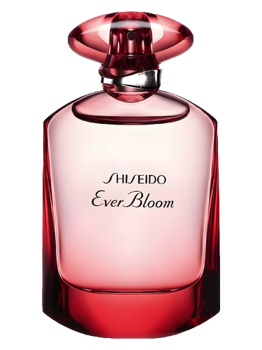 Ever Bloom Ginza Flower