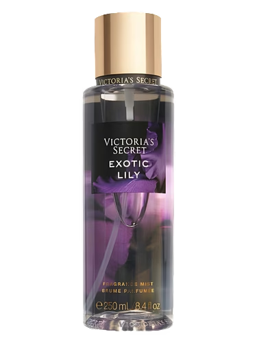 Exotic Lily