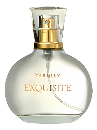 Exquisite