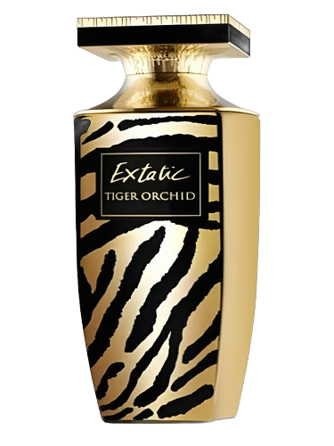 Extatic Tiger Orchid by Pierre Balmain