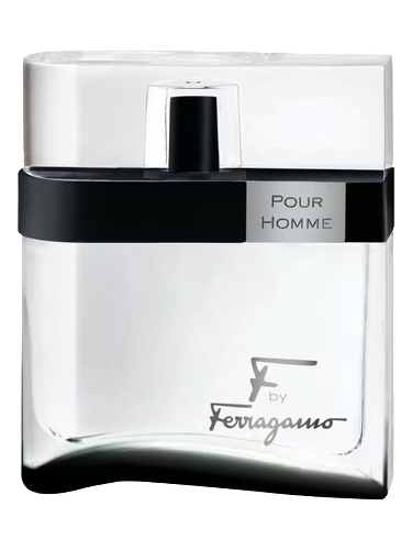 F by Ferragamo Black