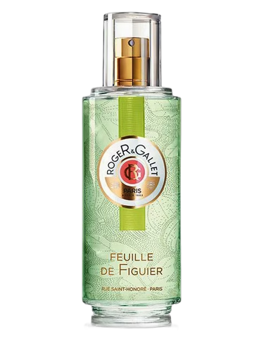 Feuille de Figuier