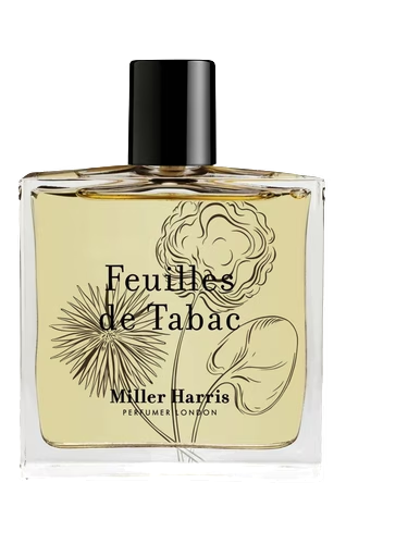 Feuilles de Tabac