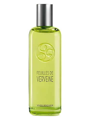 Feuilles de Verveine