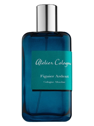 Figuier Ardent