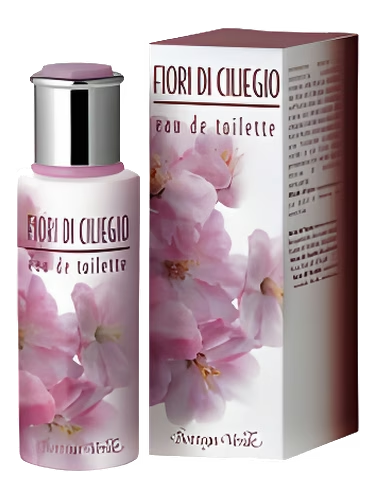 Fiori di Ciliegio