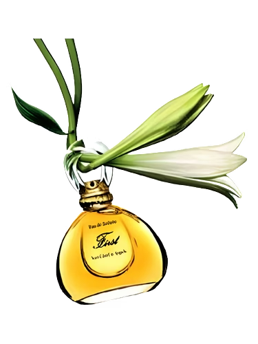 First Jasmin de Chine